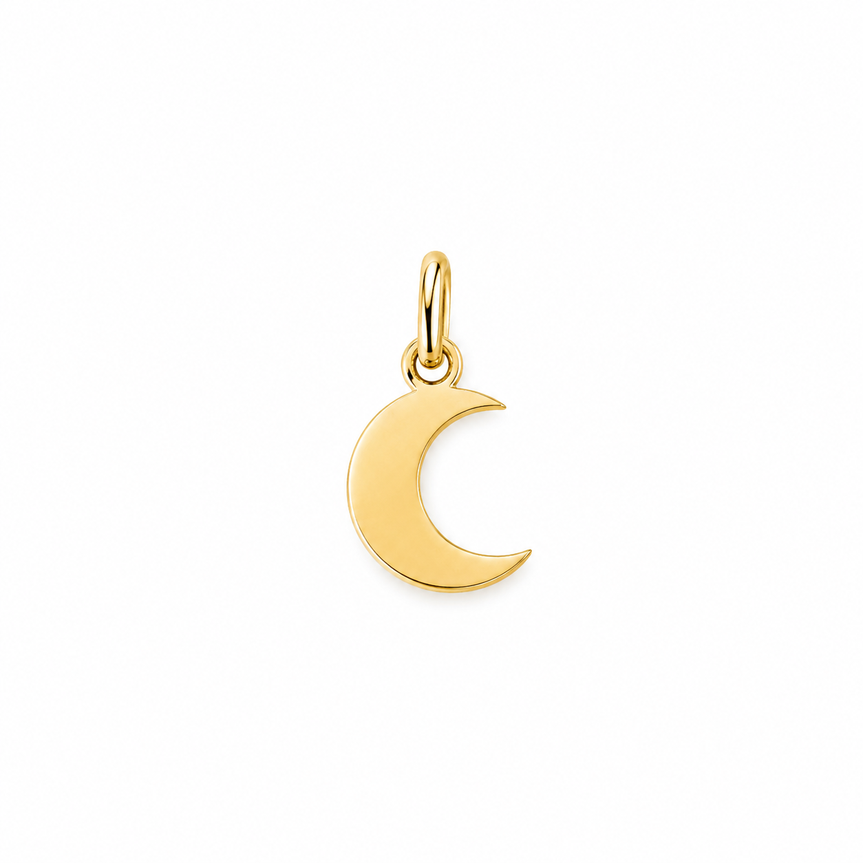 Charm Luna